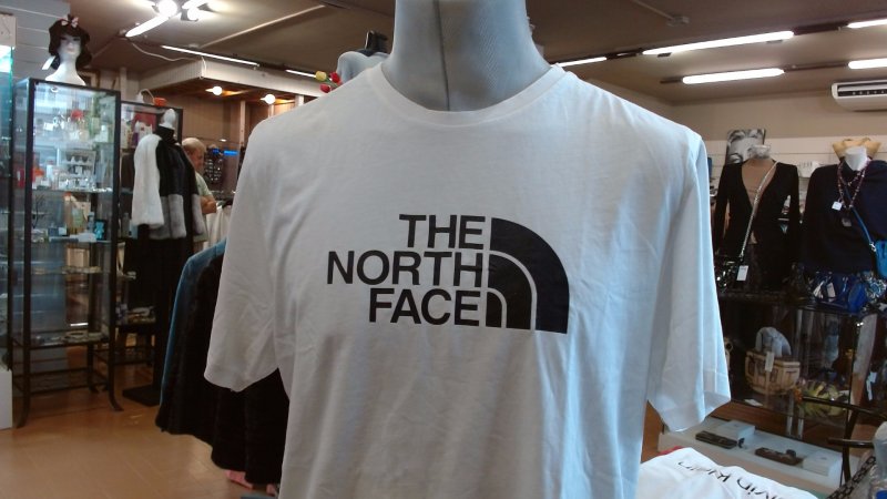 Tshirt Uomo The North Face L R