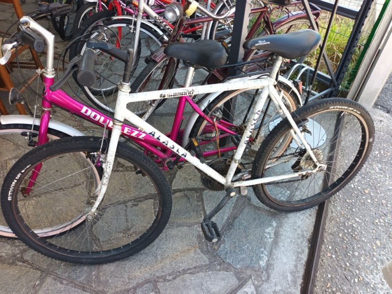 Bicicletta Alaska Shimano  Bianca  26 Pollici     V
