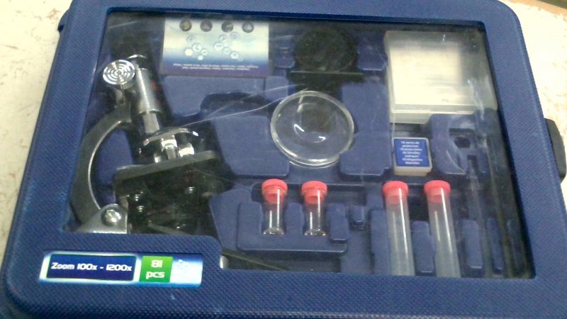 Microscopio Per Bambini   V