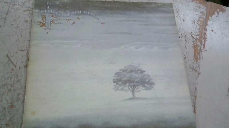 Vinile 33         Genesis Wind& Wuthering                Busta Non Compresa    V